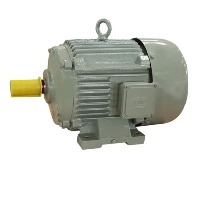 Oswal 5 HP Single Phase Induction Electric Motor, 1440RPM, CI Body, 1 Year Warranty